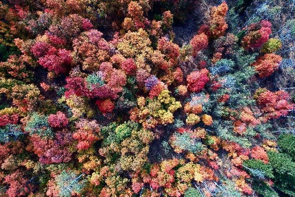 19 Dreamy Places To Go With Bae This Fall