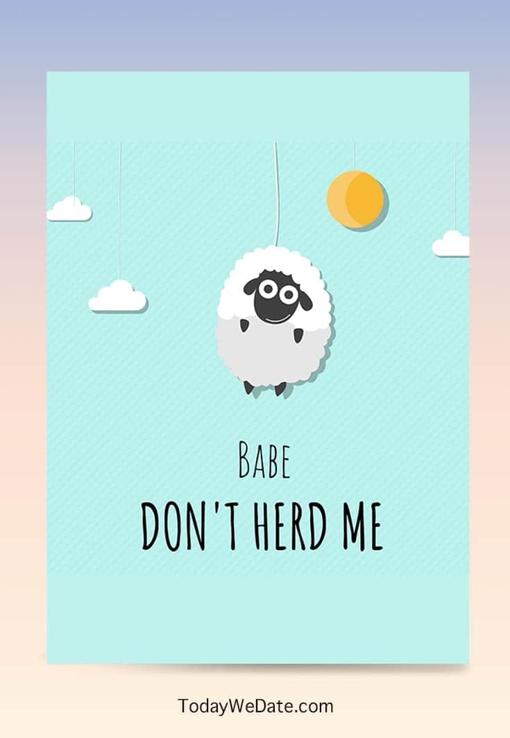 babe dont herd me todaywedate.com babe dont herd me todaywedate.com
